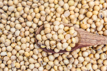 pile of soybeans wirh wooden spoon