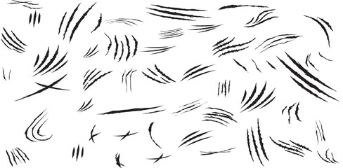 Animal claw paw marks, scratches, talons cuts cat, tiger, dog, lion, monster isolated