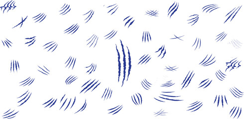 Animal claw paw marks, scratches, talons cuts cat, tiger, dog, lion, monster isolated