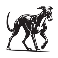 Beautifully detailed Greyhound silhouette with elegant curves - Greyhound illustration - minimal Greyhound vector - dog silhouette
