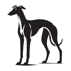 Expressive Greyhound silhouette capturing the breed’s movement - Greyhound illustration - minimal Greyhound vector - dog silhouette
