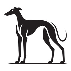 Beautiful Greyhound silhouette with a poised stance - Greyhound illustration - minimal Greyhound vector - dog silhouette
