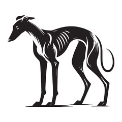 Minimalist Greyhound silhouette highlighting elegance and speed - Greyhound illustration - minimal Greyhound vector - dog silhouette
