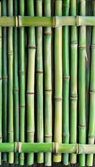 Fototapeta premium Green Bamboo Stalks Background, Natural Pattern With Intertwined Canes, Eco-Friendly Material
