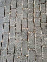 A fragment of a two-hundred-year-old road paved with bog oak blocks