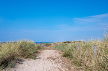 Path through the dunes with fence and beach grass on the North Sea coast