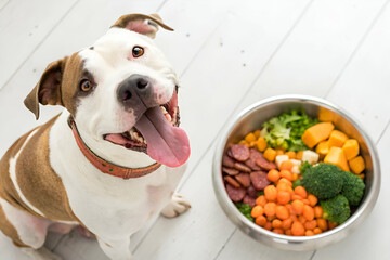 healthy dog food A happy dog sits beside a bowl filled with fresh vegetables, showcasing a healthy meal option for pets.