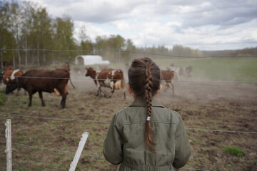 girl and cows on farm