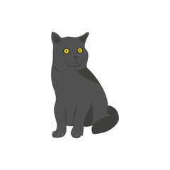 Black Cat, Halloween Vector Illustration, Isolated