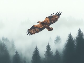 Obraz premium Eagle in flight over misty forest. Possible use Nature photography
