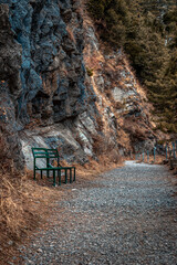 path in a forest park