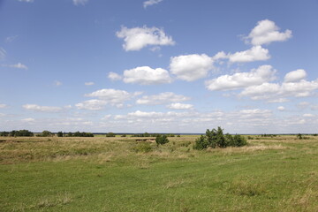 beautiful landscape with a field of trees and a blue sky in  random Ukrainian village