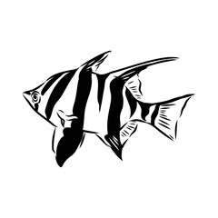 stickleback fish, vector sketch fish line ink sketch. Hand drawn