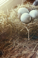 Atmospheric Easter set. Three symbolic blue eggs in birds nest among hay on windowsill, vertical image.