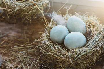 Atmospheric Easter set. Three symbolic blue eggs in birds nest among hay on windowsill under sun beams.
