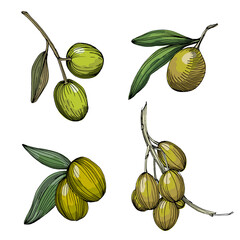 Seamless Pattern with olives and mushrooms. Color sketch style hand drawn background. Detailed illustration, hand drawn. Great for fabric and textile, prints, invitation, packaging