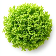 Obraz premium A fresh green lettuce head with crisp leaves, isolated on a white background, symbolizing healthy eating, organic produce, and vegetarian nutrition.