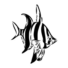 stickleback fish, vector sketch fish line ink sketch. Hand drawn