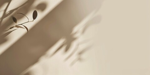 A minimalistic aesthetic featuring a beige backdrop, Subtle textures and monochrome elements, Modern minimalist style