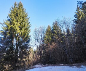 Trebević mountain, Sarajevo.
Trebević is the closest mountain that is reachable via the cable car...
