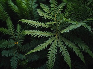 Vibrant Close-Up of Lush Fern Leaves and Greenery in a Botanical Garden