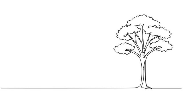 animated continuous single line drawing of a broad-leafed tree, line art animation