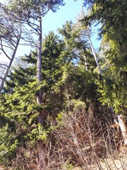 Trebević mountain, Sarajevo.
Trebević is the closest mountain that is reachable via the cable car...