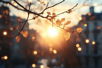 Golden sunlight filters through autumn leaves on a city street during sunset
