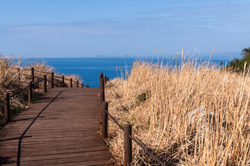 wooden walkway to the sea