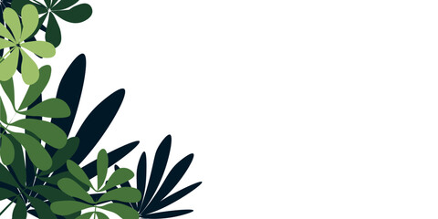 Tropical tree branches with leaves isolated on a white background create a backdrop of lush green foliage. Place for insertion. Vector image.