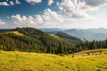 Fantastic scene of green meadows and forested mountain ranges in sunny weather. Carpathians,...