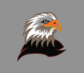 Egol modern logo design logo adobe illustrator vector file design  