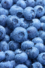 Fresh blueberries background