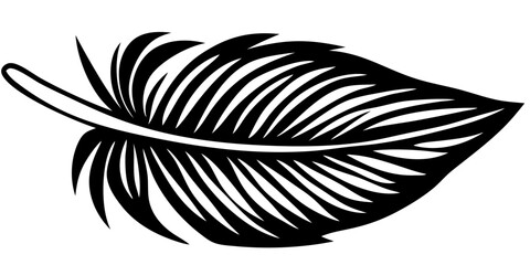 Stunning Feather Vector Art Illustrations