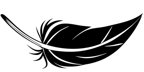 Stunning Feather Vector Art Illustrations