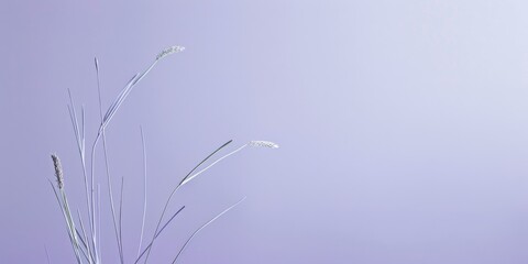 A minimalistic composition with a light periwinkle background, Delicate lines and subtle patterns, Elegant minimalist style