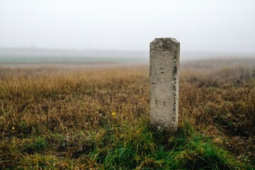 Stone Milestone in Misty Field Surrounded by Tall Grass and Fog