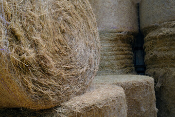 Hay for feeding livestock in winter. Farming. France.