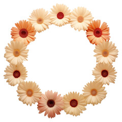 PNG Real pressed gerbera flowers circle wreath shape.