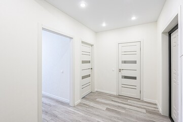 standard room interior apartment. room doors, renovation corridor lobby entrance hall