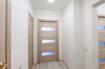 standard room interior apartment. room doors, renovation corridor lobby entrance hall