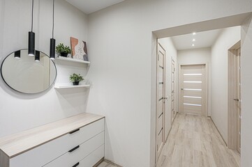 standard room interior apartment. room doors, renovation corridor lobby entrance hall