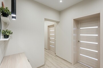standard room interior apartment. room doors, renovation corridor lobby entrance hall