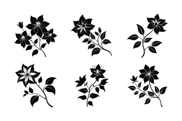 Fototapeta premium Clematis (Clematis spp.) silhouette vector art illustration