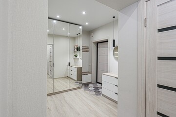 standard room interior apartment. room doors, renovation corridor lobby entrance hall