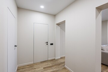 standard room interior apartment. room doors, renovation corridor lobby entrance hall