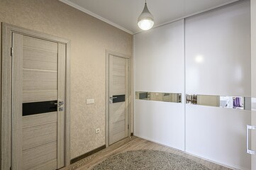 standard room interior apartment. room doors, renovation corridor lobby entrance hall