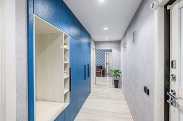 standard room interior apartment. room doors, renovation corridor lobby entrance hall