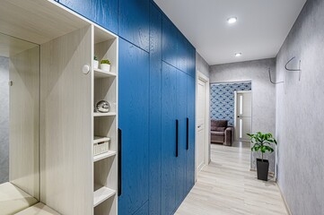 standard room interior apartment. room doors, renovation corridor lobby entrance hall