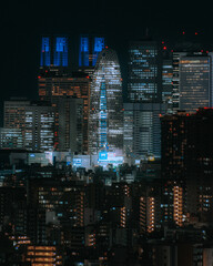 Tokyo skyline at night when the building lights are on